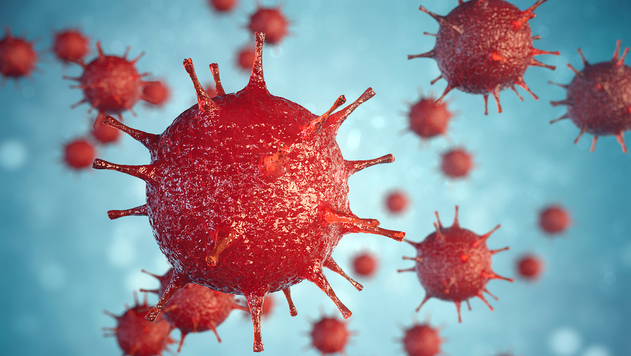 HOW LONG CAN GERMS LIVE ON SURFACES BioOne of Flagstaff